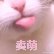 ��Ǩ�˰����ѧ������|����ר|ר����|ѧ�����ɲ���ʵ��Ч